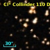 Cl* Collinder  110     DI    2129