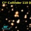 Cl* Collinder  110     DI    2131