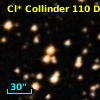 Cl* Collinder  110     DI    2132