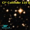 Cl* Collinder  110     DI    3102