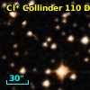 Cl* Collinder  110     DI    3103