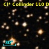 Cl* Collinder  110     DI    3116