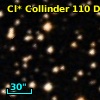 Cl* Collinder  110     DI    3120