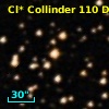 Cl* Collinder  110     DI    3122