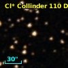 Cl* Collinder  110     DI    3131