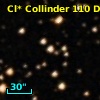 Cl* Collinder  110     DI    3135