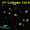 Cl* Collinder  110     DI    3134