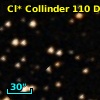 Cl* Collinder  110     DI    4103