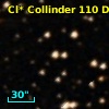 Cl* Collinder  110     DI    4107