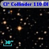 Cl* Collinder  110     DI    4114