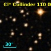 Cl* Collinder  110     DI    4120