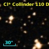 Cl* Collinder  110     DI    1207