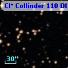 Cl* Collinder  110     DI    1222