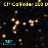 Cl* Collinder  110     DI    1225
