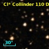 Cl* Collinder  110     DI    1231