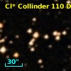 Cl* Collinder  110     DI    1233