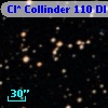 Cl* Collinder  110     DI    1236