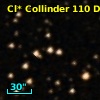 Cl* Collinder  110     DI    1251