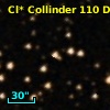 Cl* Collinder  110     DI    1255