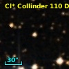 Cl* Collinder  110     DI    1273