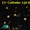 Cl* Collinder  110     DI    1274