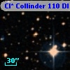 Cl* Collinder  110     DI    1278