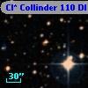 Cl* Collinder  110     DI    1279