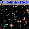 Cl* Collinder  110     DI    1289
