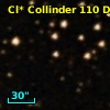 Cl* Collinder  110     DI    1295