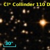 Cl* Collinder  110     DI    2203
