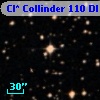Cl* Collinder  110     DI    2209