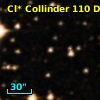 Cl* Collinder  110     DI    2211