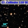 Cl* Collinder  110     DI    2219