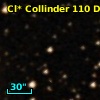 Cl* Collinder  110     DI    2224