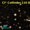 Cl* Collinder  110     DI    2225