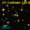 Cl* Collinder  110     DI    2232