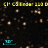 Cl* Collinder  110     DI    2233