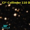 Cl* Collinder  110     DI    2249