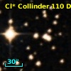Cl* Collinder  110     DI    3201