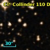 Cl* Collinder  110     DI    3202
