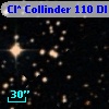 Cl* Collinder  110     DI    3207