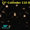 Cl* Collinder  110     DI    3211