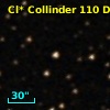 Cl* Collinder  110     DI    3216