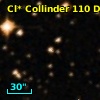 Cl* Collinder  110     DI    3217