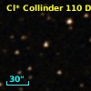 Cl* Collinder  110     DI    3219