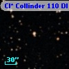 Cl* Collinder  110     DI    3223