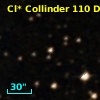 Cl* Collinder  110     DI    3224
