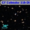 Cl* Collinder  110     DI    3230