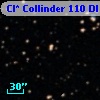 Cl* Collinder  110     DI    3233