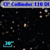 Cl* Collinder  110     DI    3234
